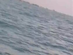 Menjadi Sorotan Publik Penambang Timah Ilegal Diperairan Kranggan Kembali Beroperasi Sekitar 50 Ponton di Malam Diduga Tambang Ini Sistem Koordinasi