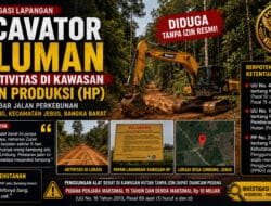 Exscavator Siluman Diduga Beroperasi di Kawasan Hutan Produksi, Pelebaran Jalan Perkebunan di Jebus Jadi Sorotan
