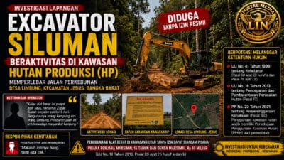 Exscavator Siluman Diduga Beroperasi di Kawasan Hutan Produksi, Pelebaran Jalan Perkebunan di Jebus Jadi Sorotan
