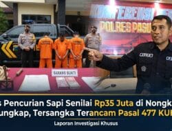 Polres Pasuruan Ungkap Kasus Pencurian Sapi di Tutur, Tiga Tersangka Berhasil Diamankan