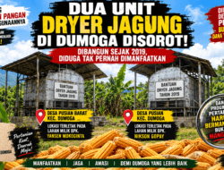 Dua Unit Dryer Jagung di Dumoga Disorot, Dibangun Sejak 2019 Diduga Mangkrak dan Tak Dimanfaatkan Petani