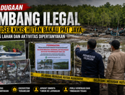 Dugaan Tambang Ilegal User-User Kikis Hutan Bakau Pait Jaya, Legalitas Lahan dan Aktivitas Dipertanyakan