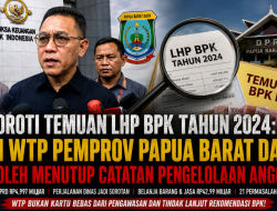 LIN Soroti Temuan LHP BPK Tahun 2024: Opini WTP Pemprov Papua Barat Daya Tak Boleh Menutup Catatan Pengelolaan Anggaran