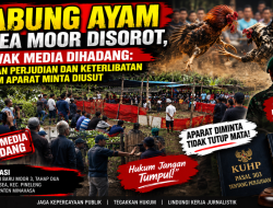 Sabung Ayam di Sea Moor Disorot, Awak Media Diduga Dihadang — Dugaan Perjudian dan Keterlibatan Oknum Aparat Diminta Diusut.