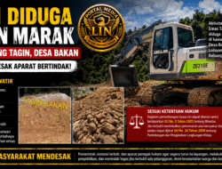 INVESTIGASI | PETI Diduga Kian Menggurita di Gunung Tagin, Siapa yang Bermain? Aparat Diminta Jangan Tutup Mata