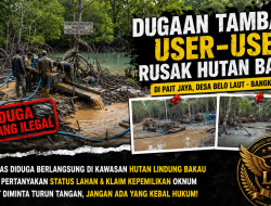 Dugaan Tambang User-User Kembali Beroperasi di Kawasan Bakau Pait Jaya, Warga Desak Aparat Bertindak Tegas