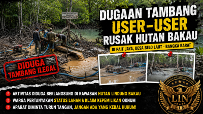 Dugaan Tambang User-User Kembali Beroperasi di Kawasan Bakau Pait Jaya, Warga Desak Aparat Bertindak Tegas