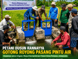 Inisiatif Mandiri, Petani Dusun Rannayya Swadaya Bangun Pintu Air demi Kelancaran Irigasi Sawah