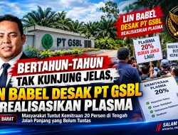 Bertahun-tahun Tak Kunjung Jelas, LIN Babel Desak PT GSBL Beri Kepastian Soal Plasma 20 Persen